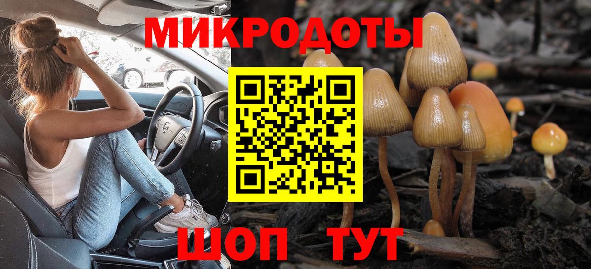 Галлюциногенные грибы Psilocybe  Псилоцибиновые грибы ЛСД  Фурманов  Вход с VPN 